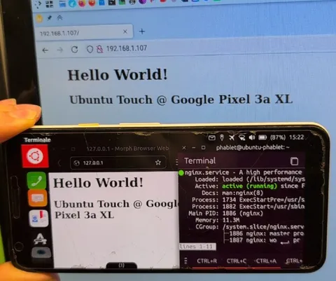 Phone Web Server Hello World