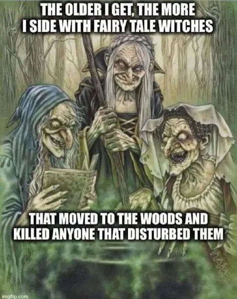 Fairy Tale Witch Sympathy