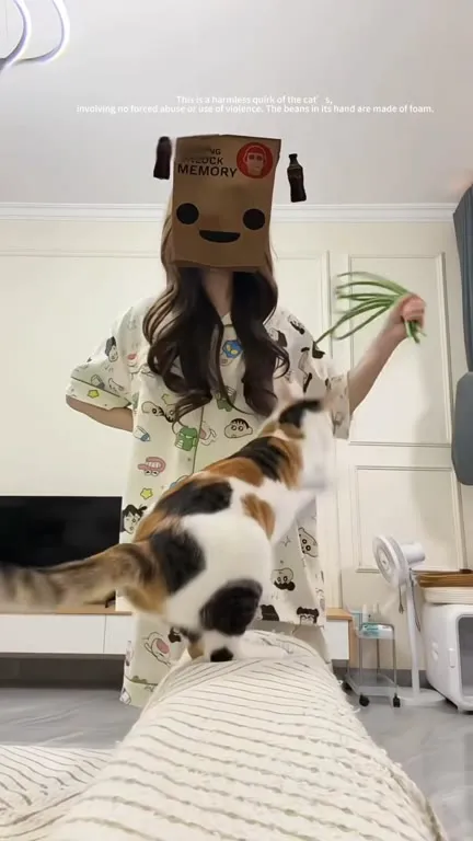 Cat Gets a Foam Bean Massage