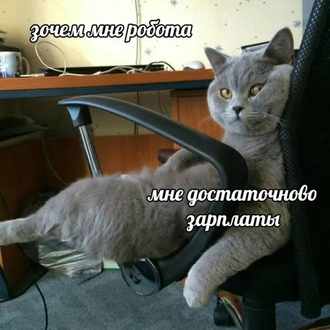 Кот работает ради зарплаты