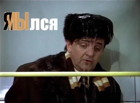 Мы лысея в шапке