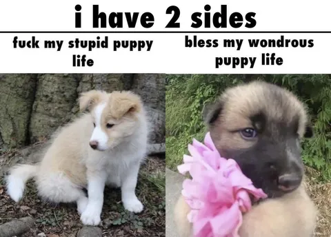 I Have Two Puppy Sides