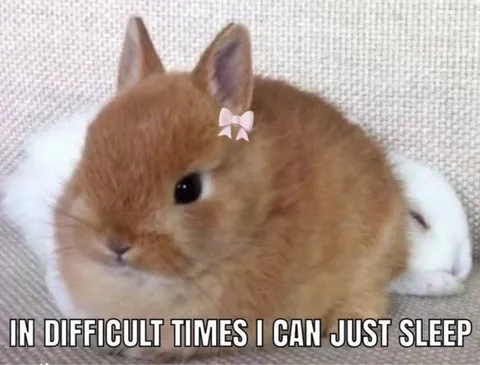 Sleep Through Difficult Times