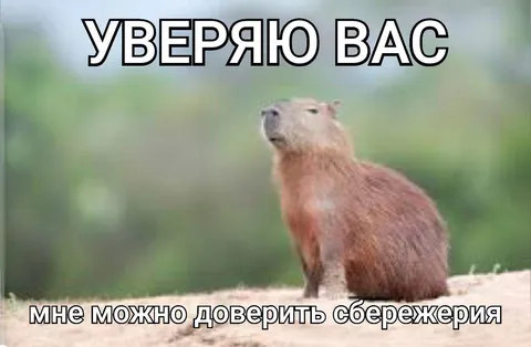 Грызун, которому можно доверить сбережения