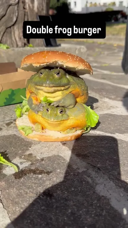 Double Frog Burger