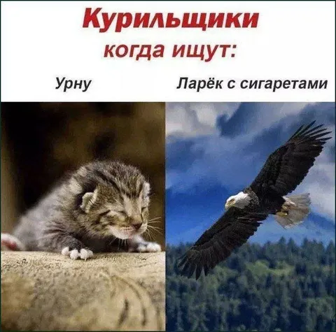 Курильщики ищут урну и ларёк