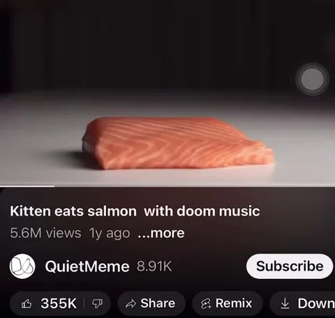Kitten Eats Salmon With Doom Music