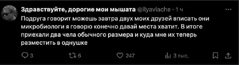 Два друга в однушке