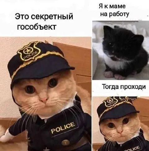 Секретный гособъект
