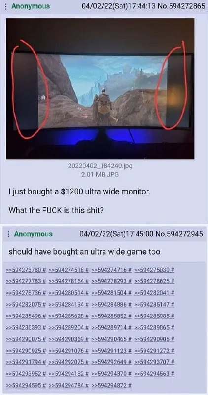 Ultra Wide Monitor Fail