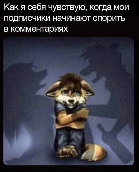 Когда подписчики спорят в комментариях