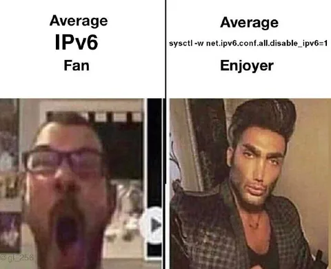 Average IPv6 Fan vs Enjoyer