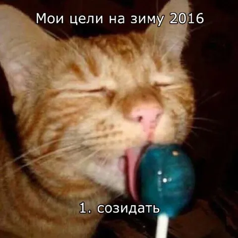 Цели на зиму 2016