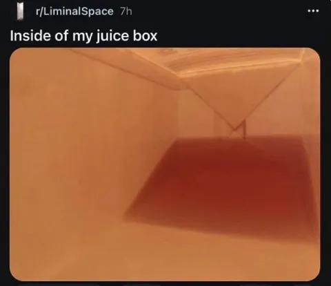 Inside My Juice Box