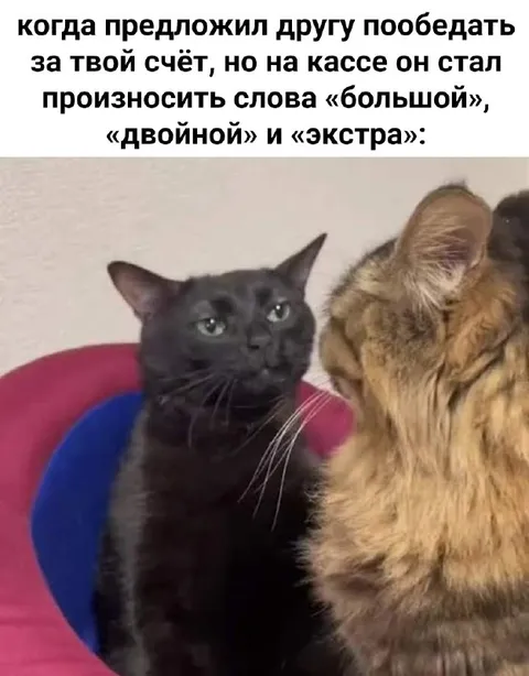 Друг заказывает всё самое дорогое