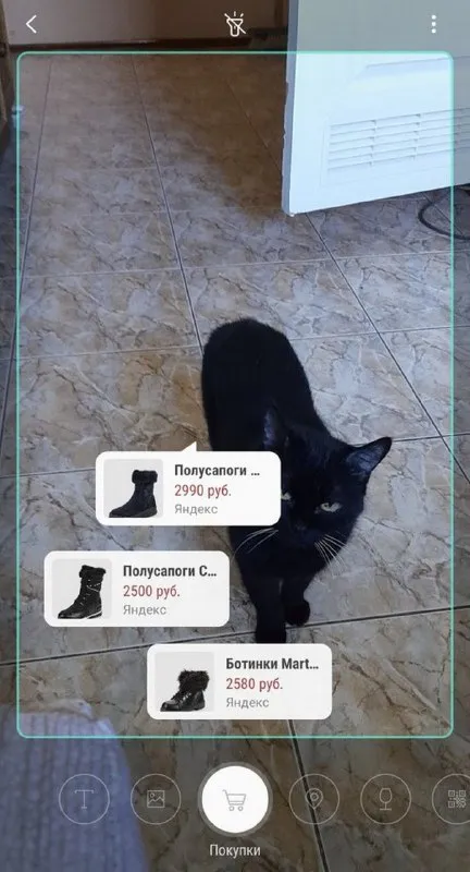 Кот выбирает полусапоги