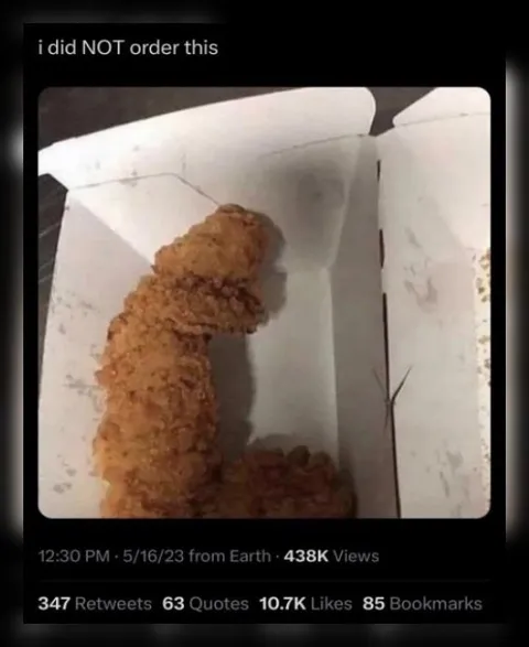 I Did Not Order This Chicken