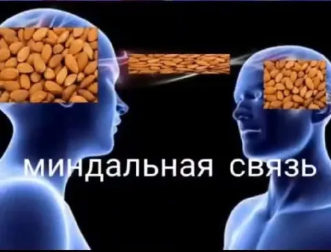 Миндальная связь