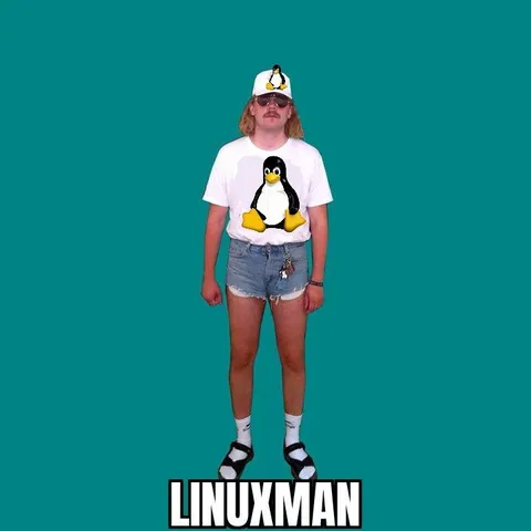 Linuxman Penguin Costume