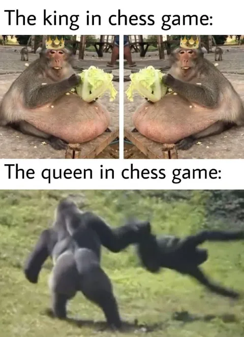 Chess King vs Queen
