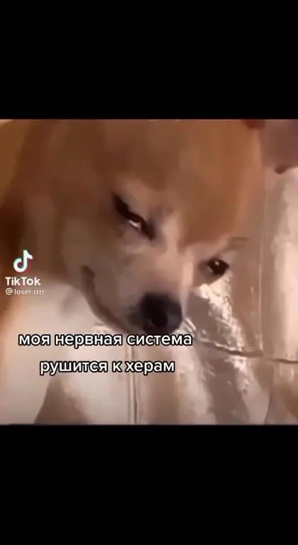 Моя вторая клоунская личность