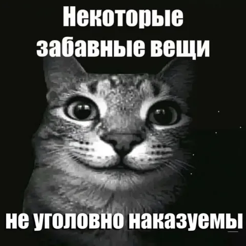 Забавные вещи не наказуемы