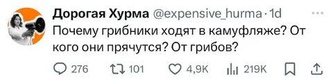 Грибники прячутся от грибов