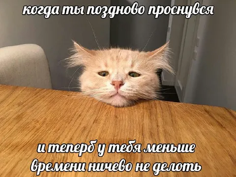 Когда поздно просыпаешься