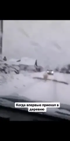 Когда впервые приехал в деревню
