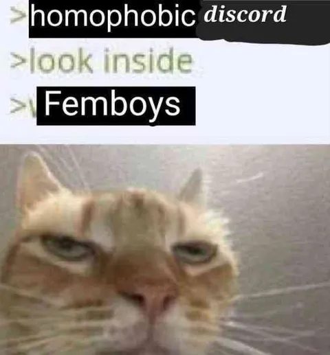 Homophobic Discord Femboys
