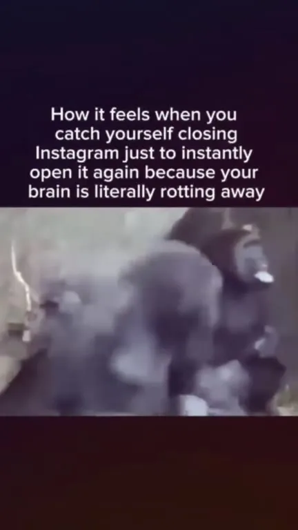Closing Instagram Then Reopening It