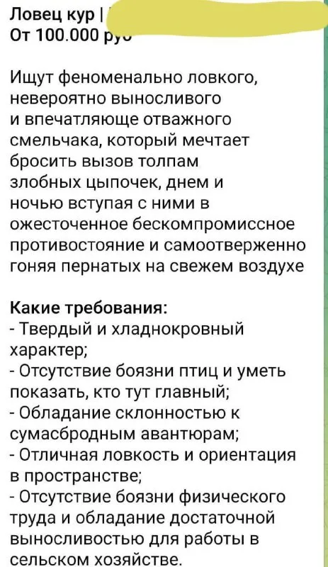 Вакансия ловца кур