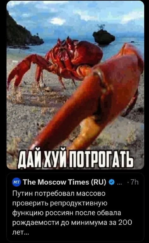Дай хуй потрогать