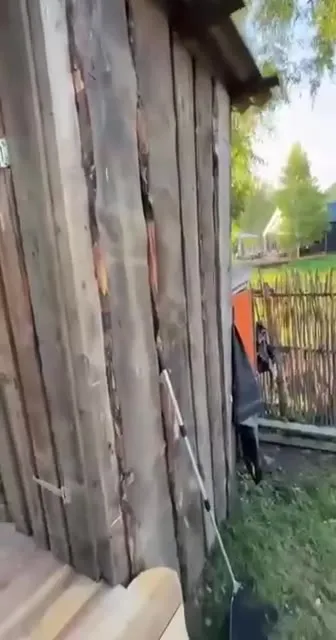 Деревенский туалет с сюрпризом