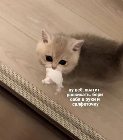 Котёнок с салфеточкой