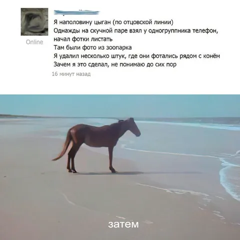 Цыган и фотография коня