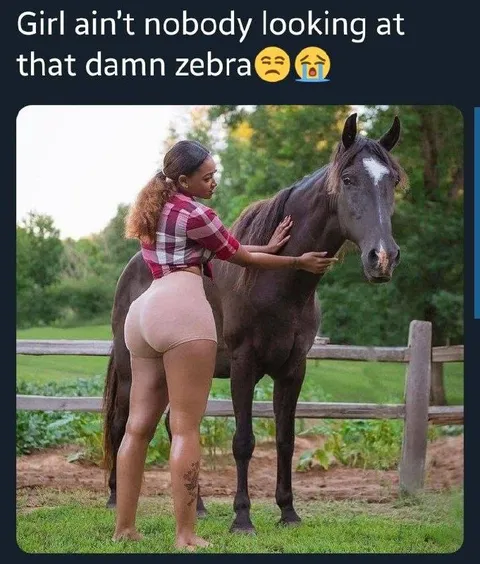 Nobody Looking at the Zebra