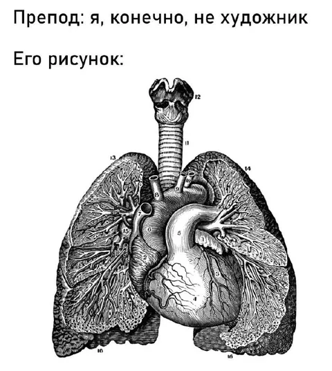 Препод и рисунок сердца