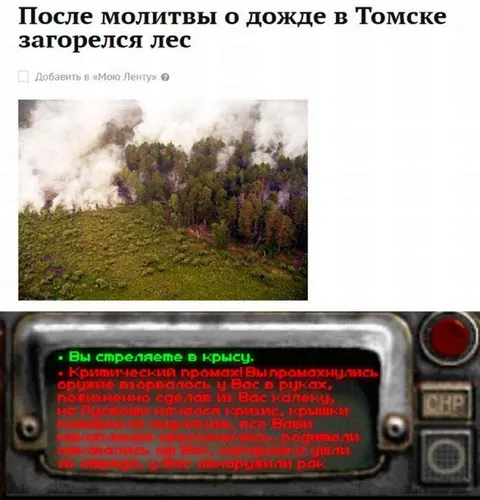 Критический промах по крысе