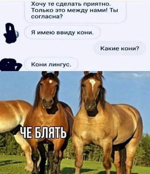 Кони лингус и недоумение