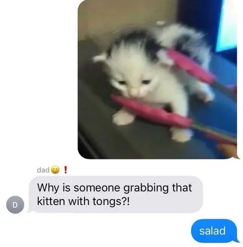 Kitten Grabbed With Tongs