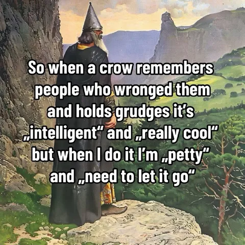 Crow Grudges Are Intelligent