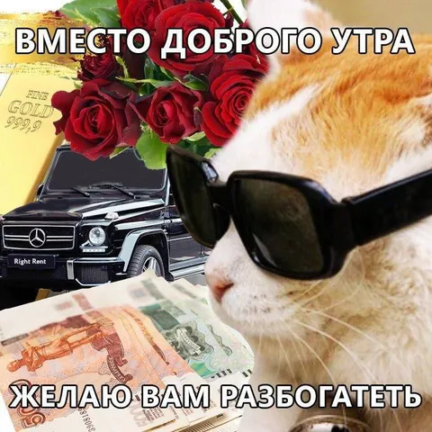 Кот желает вам заработать