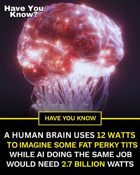 Human Brain Versus AI Power
