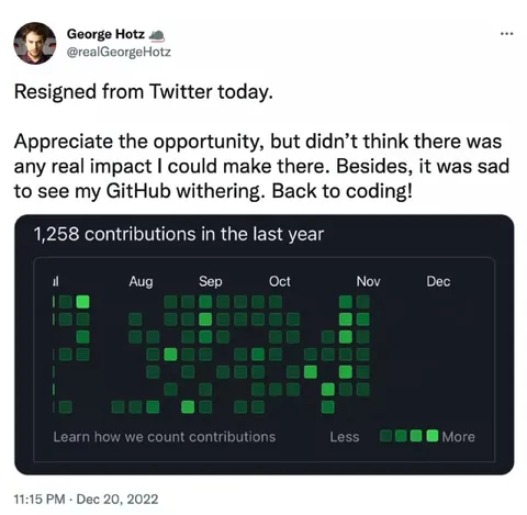 Back to Coding After Twitter