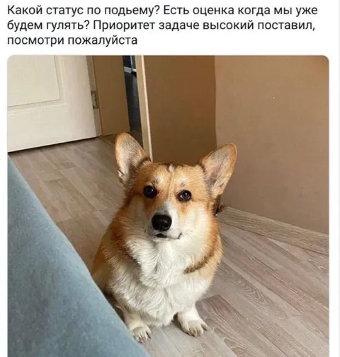 Статус по подъёму и прогулке
