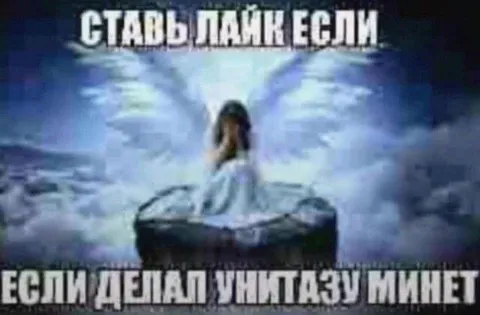 Лайк за минет унитазу