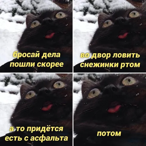 Кот ловит снежинки ртом