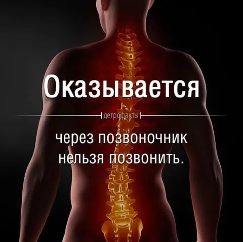Через позвоночник нельзя позвонить