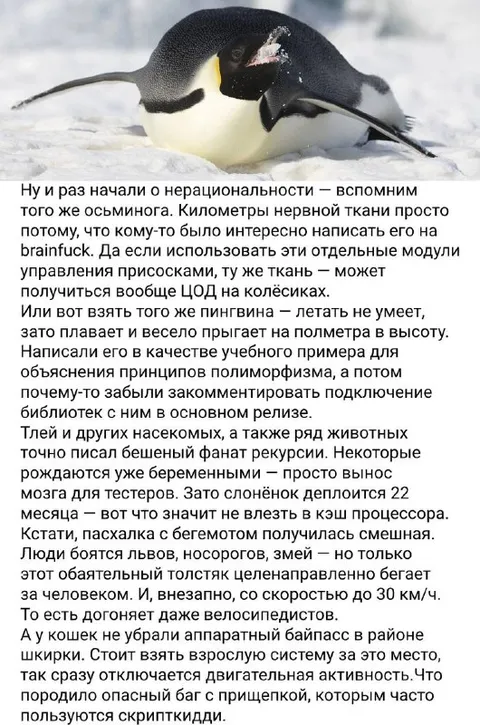 Операциональность осьминога и пингвина